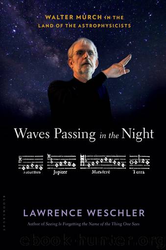 Waves Passing in the Night by Lawrence Weschler