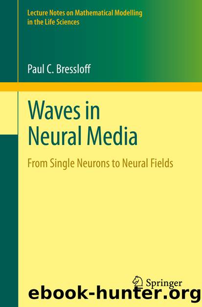 Waves in Neural Media by Paul C. Bressloff