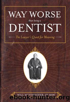 Way Worse Than Being a Dentist: the Lawyer's Quest for Meaning by Will Meyerhofer