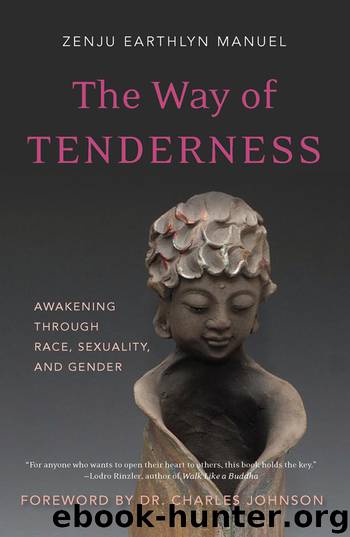 Way of Tenderness : Awakening Through Race, Sexuality, and Gender by Manuel Zenju Earthlyn