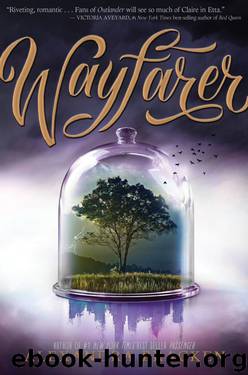 Wayfarer (Volume 2) (Passenger) by Alexandra Bracken