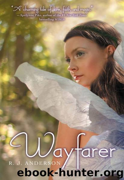 Wayfarer by Anderson R.J