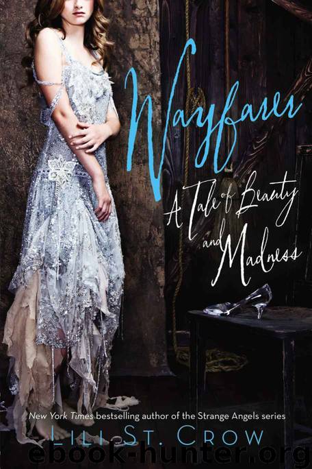 Wayfarer: A Tale of Beauty and Madness (Tales of Beauty and Madness) by St. Crow Lili