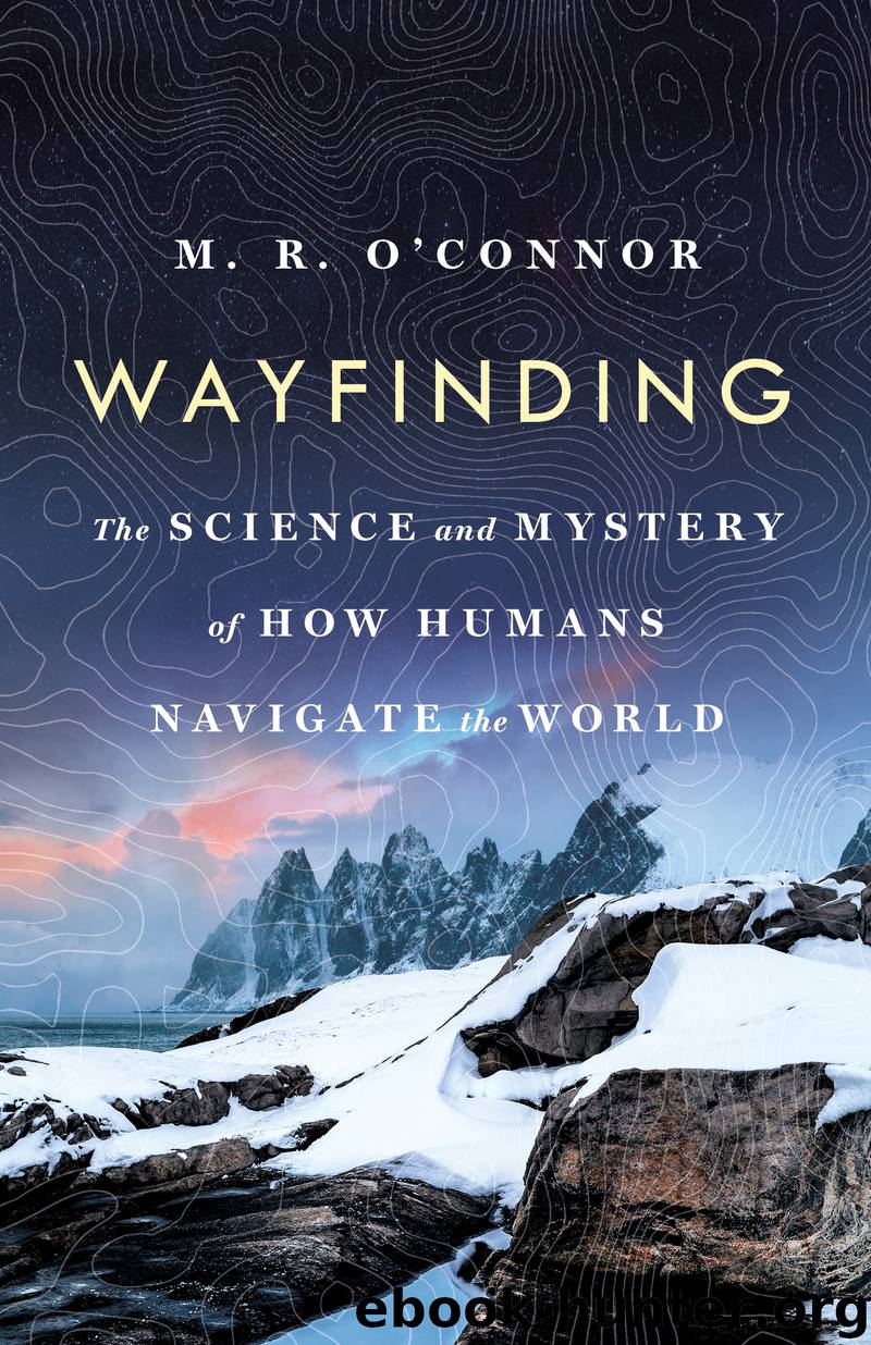 Wayfinding by M. R. O'Connor