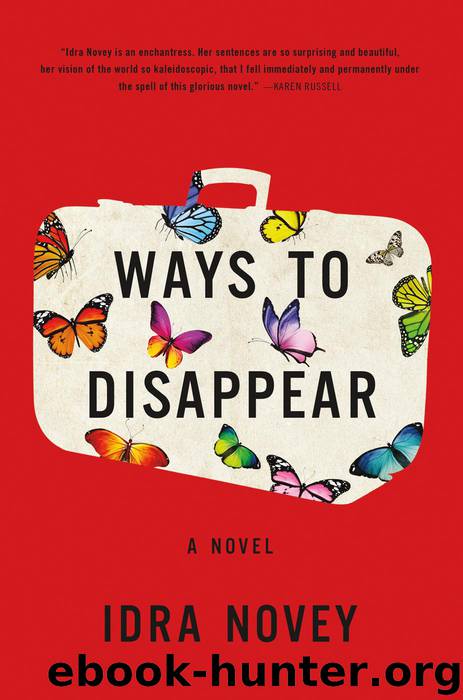 Ways to Disappear by Novey Idra