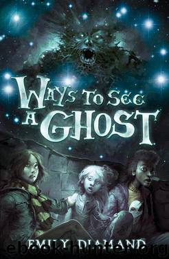 Ways to See a Ghost by Emily Diamand