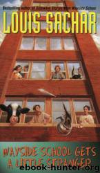 Wayside School Gets a Little Stranger by Sachar Louis