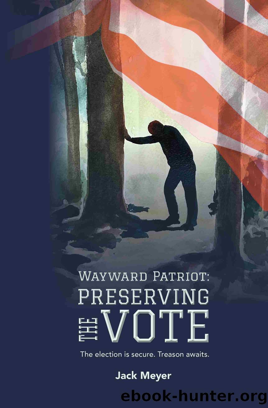 Wayward Patriot by Jack Meyer