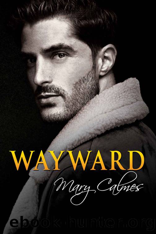 Wayward by Mary Calmes