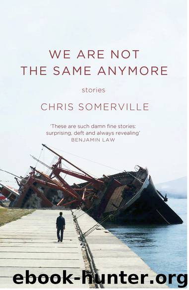 We Are Not The Same Anymore by Chris Somerville