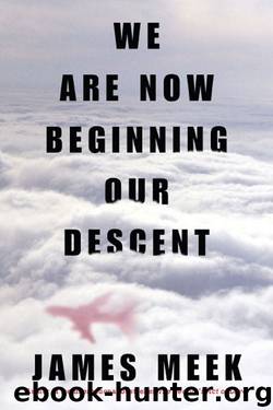 We Are Now Beginning Our Descent by James Meek