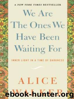 We Are the Ones We Have Been Waiting For: Inner Light in a Time of Darkness by Alice Walker