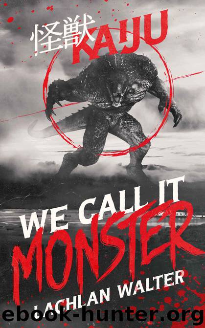 We Call It Monster by Lachlan Walter