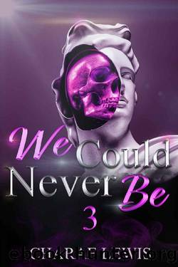 We Could Never Be 3: The Finale (We Could Never Be series) by Charae Lewis