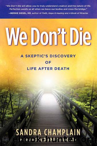 We Don't Die by Sandra Champlain