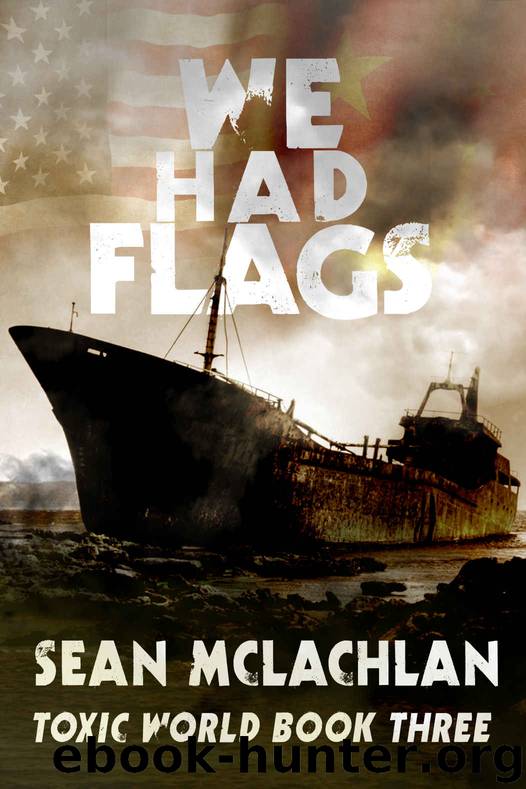 We Had Flags (Toxic World Book 3) by Sean McLachlan