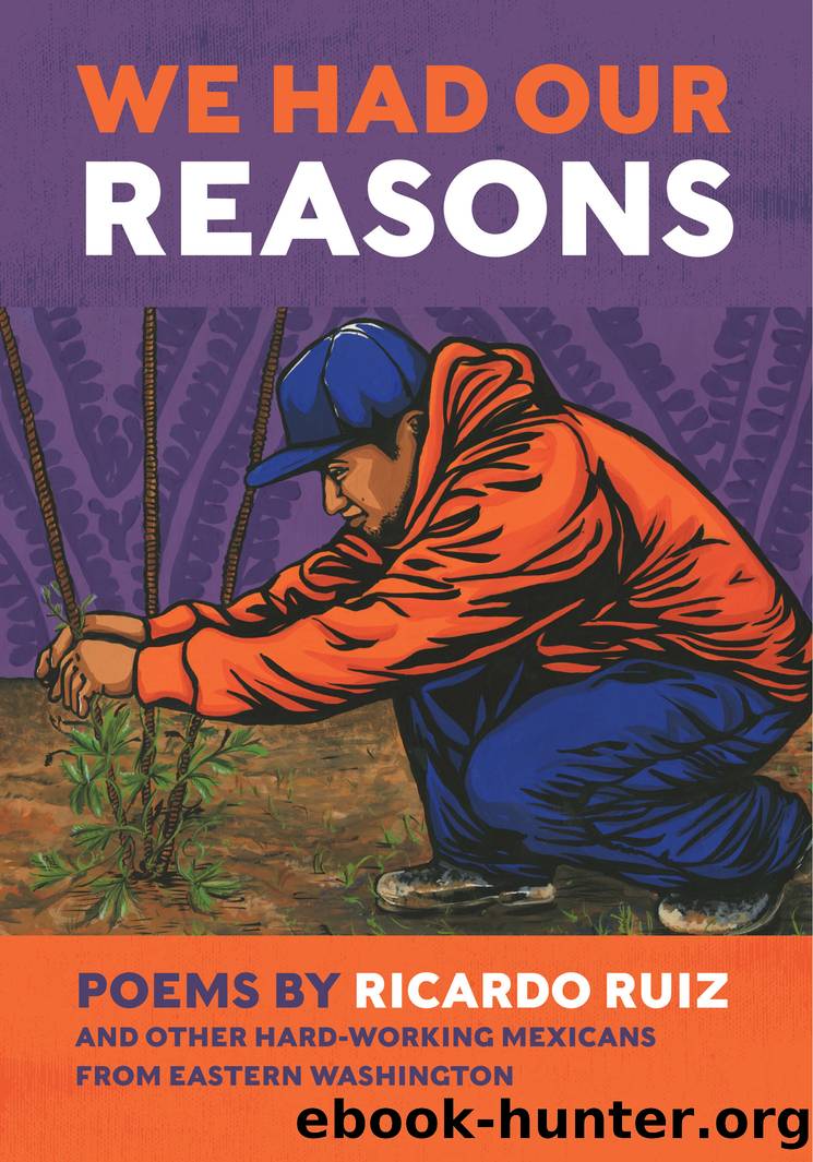 We Had Our Reasons by Ricardo Ruiz