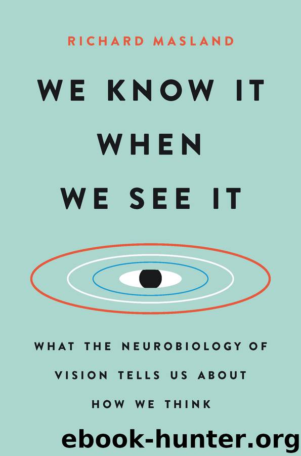 We Know It When We See It by Richard Masland