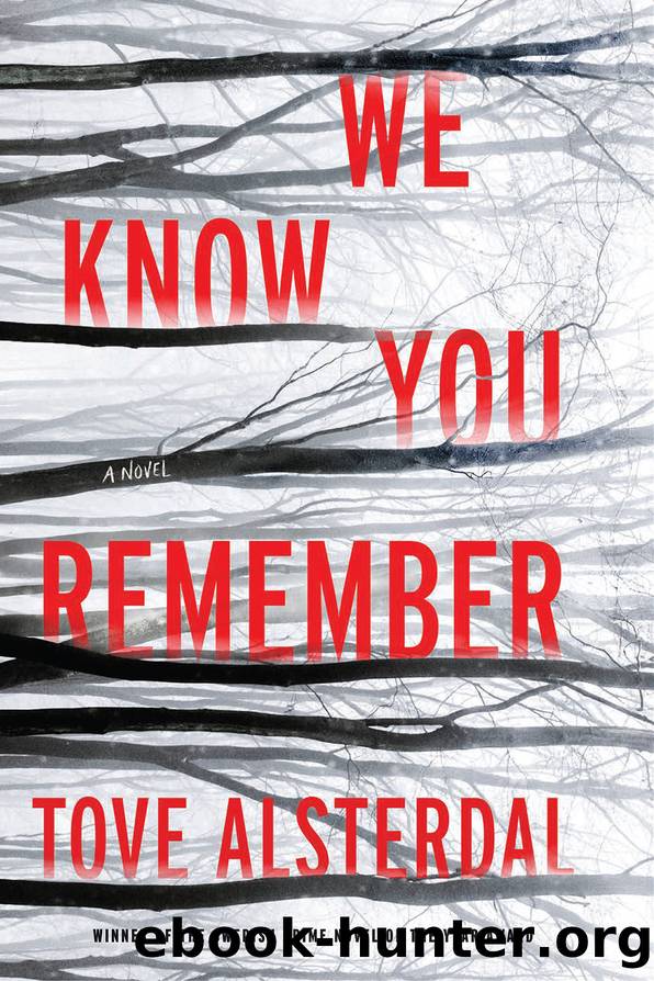 We Know You Remember by Tove Alsterdal