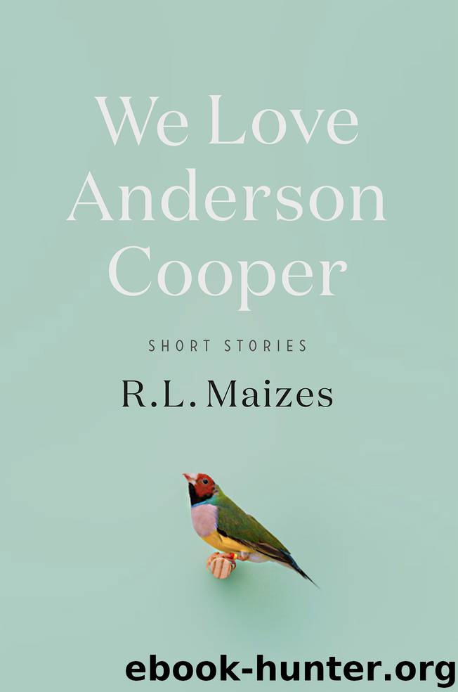 We Love Anderson Cooper by R.L. Maizes