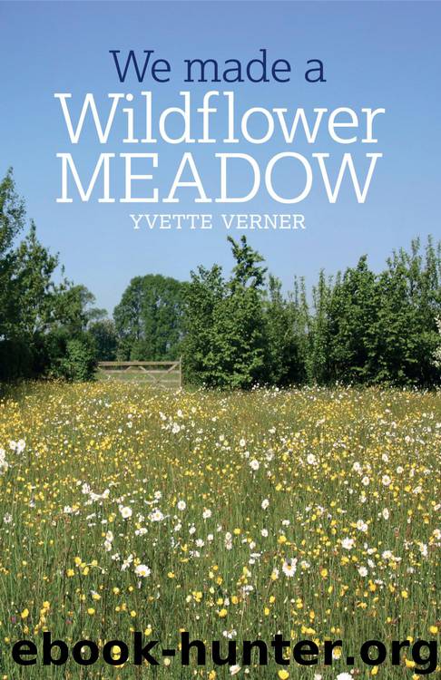 We Made a Wildflower Meadow by Yvette Verner
