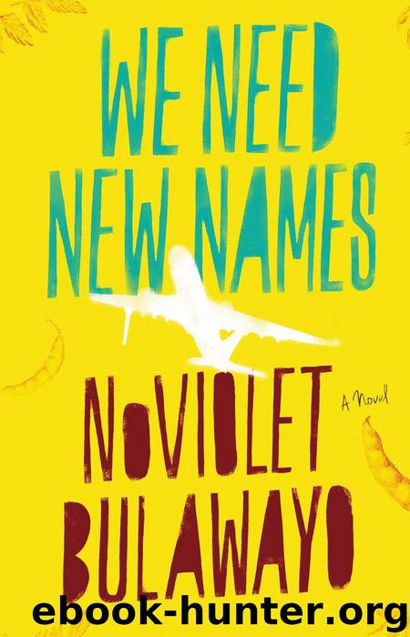 We Need New Names by Noviolet Bulawayo