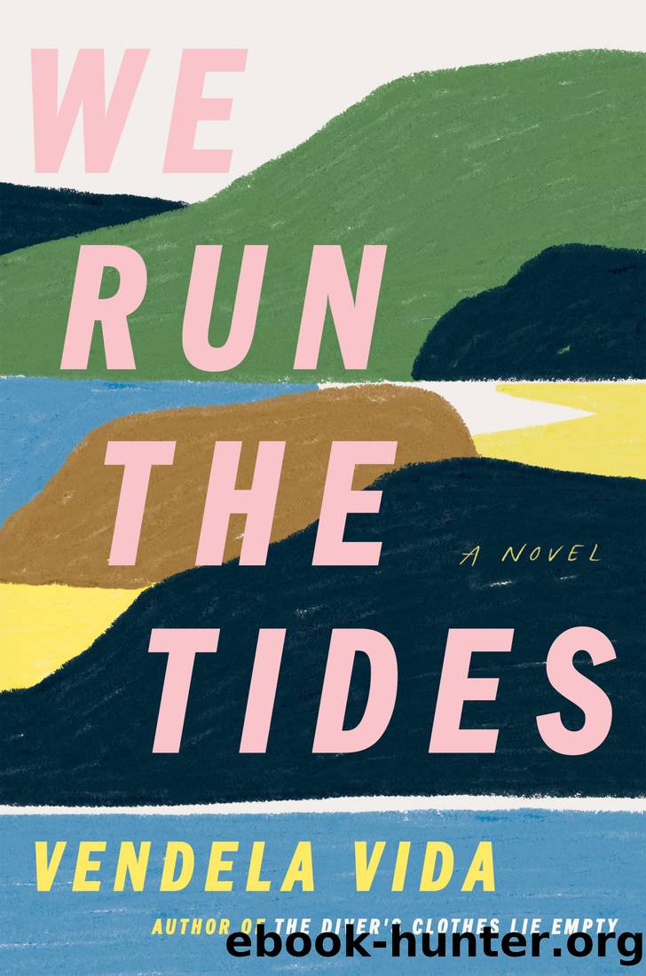 We Run the Tides by Vendela Vida