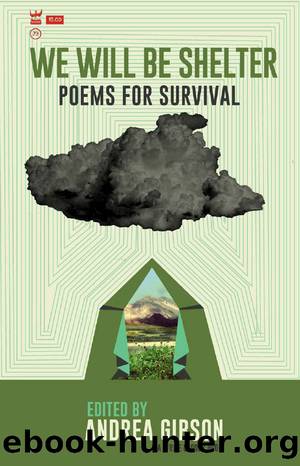 We Will Be Shelter by Andrea Gibson