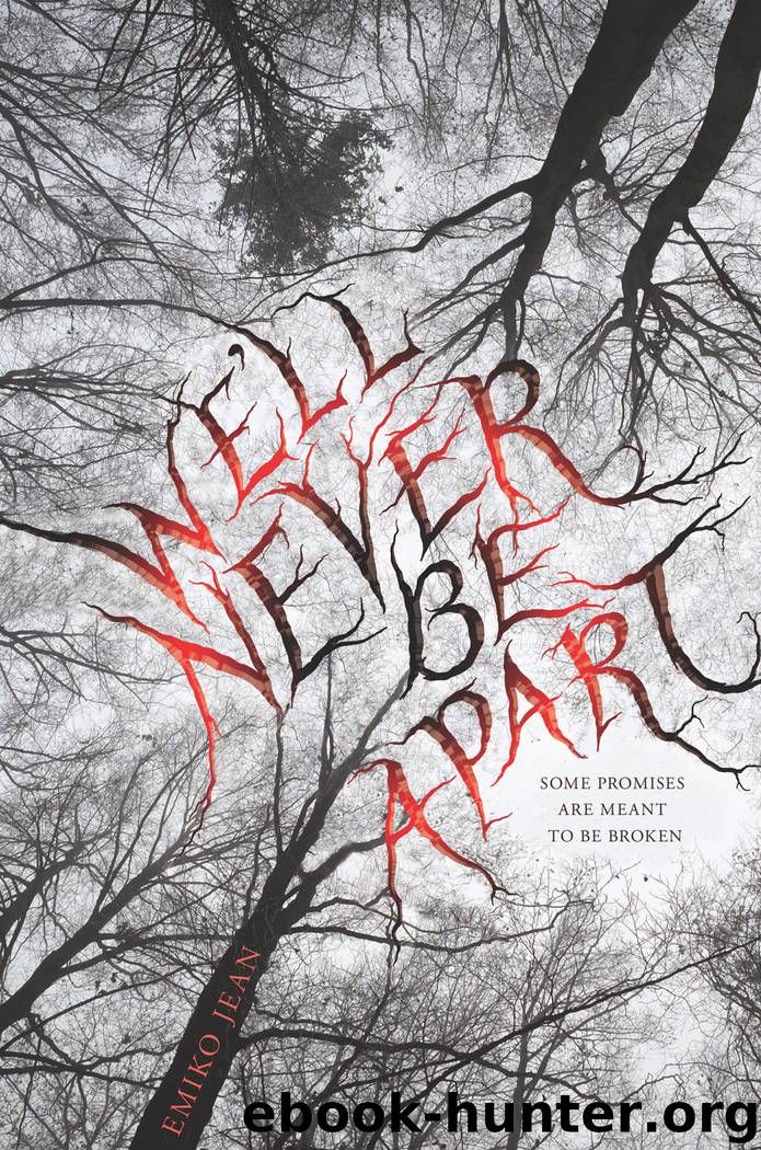 We'll Never Be Apart by Emiko Jean