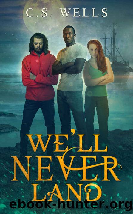We'll Never Land by C S Wells