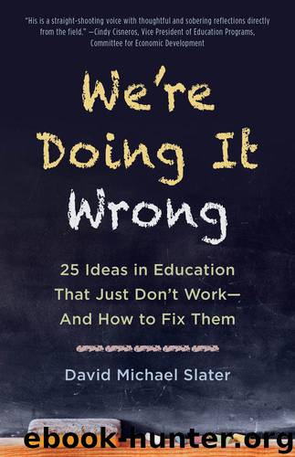 We're Doing It Wrong by David Michael Slater