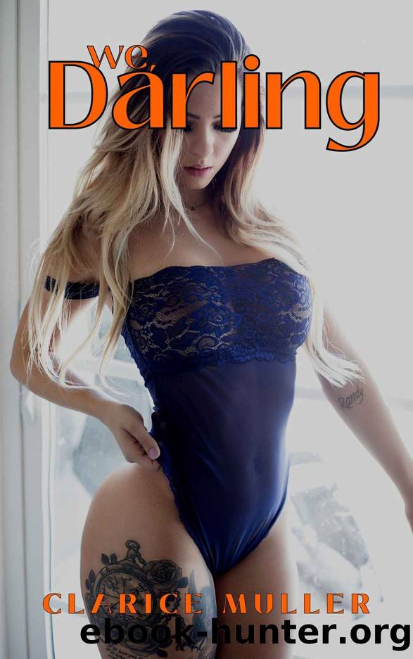We, Darling: Erotic novel with explicit sexual content (Burning Secrets Book 5) by Muller Clarice