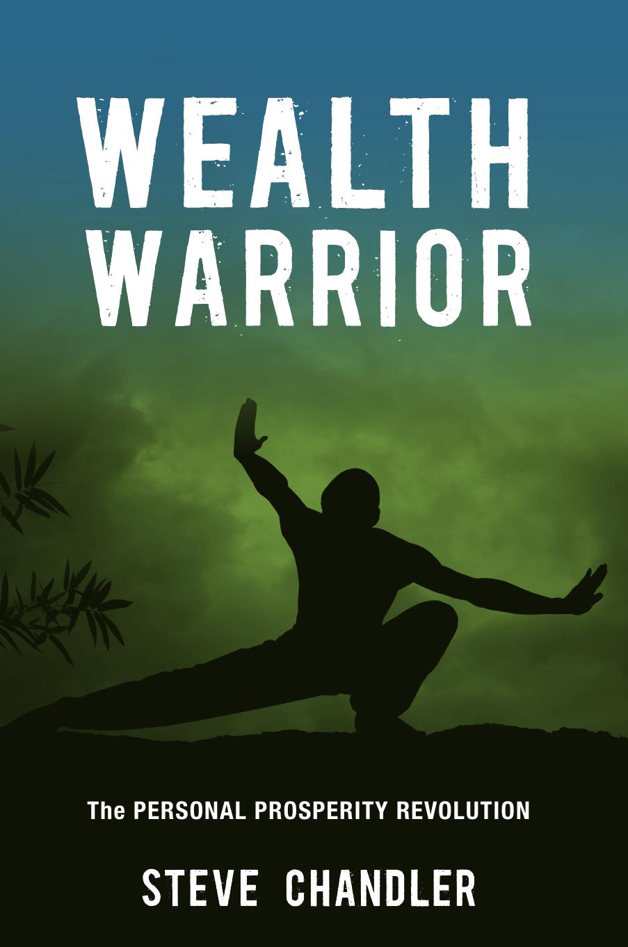 Wealth Warrior by Steve Chandler
