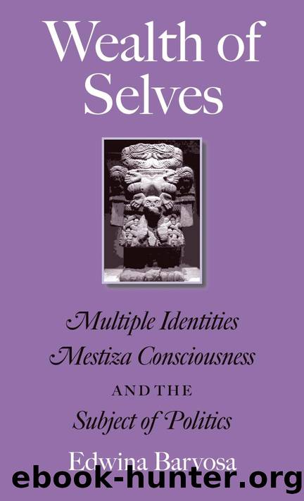 Wealth of Selves : Multiple Identities, Mestiza Consciousness, and the Subject of Politics by Edwina Barvosa