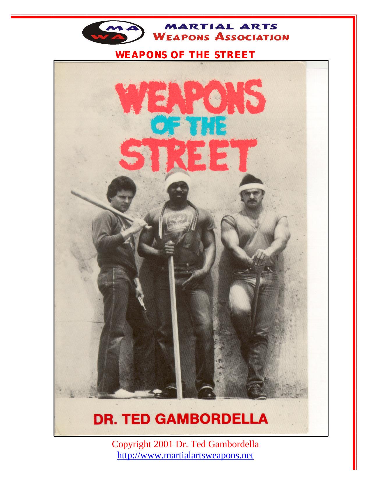 Weapons of the street by Theodore L. Gambordella