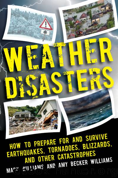 Weather Disasters by Mark D. Williams