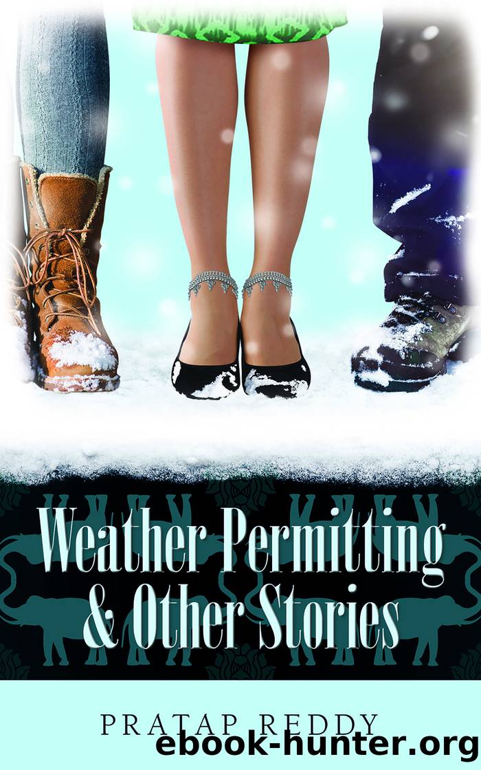 Weather Permitting & Other Stories by Pratap Reddy