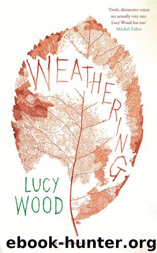 Weathering by Wood Lucy