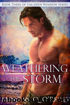 Weathering the Storm by Morgan Q O'Reilly
