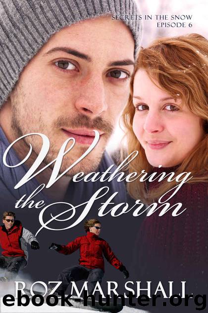 Weathering the Storm: Secrets in the Snow, # 6 by Roz Marshall