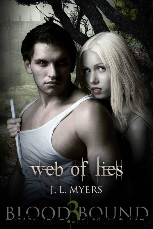 Web Of Lies by J.L. Myers