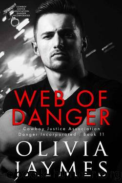 Web of Danger (Danger Incorporated Book 11) by Olivia Jaymes