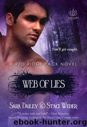 Web of Lies by Sara Dailey