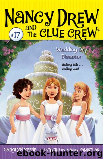 Wedding Day Disaster by Carolyn Keene