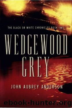 Wedgewood Grey by John Aubrey Anderson