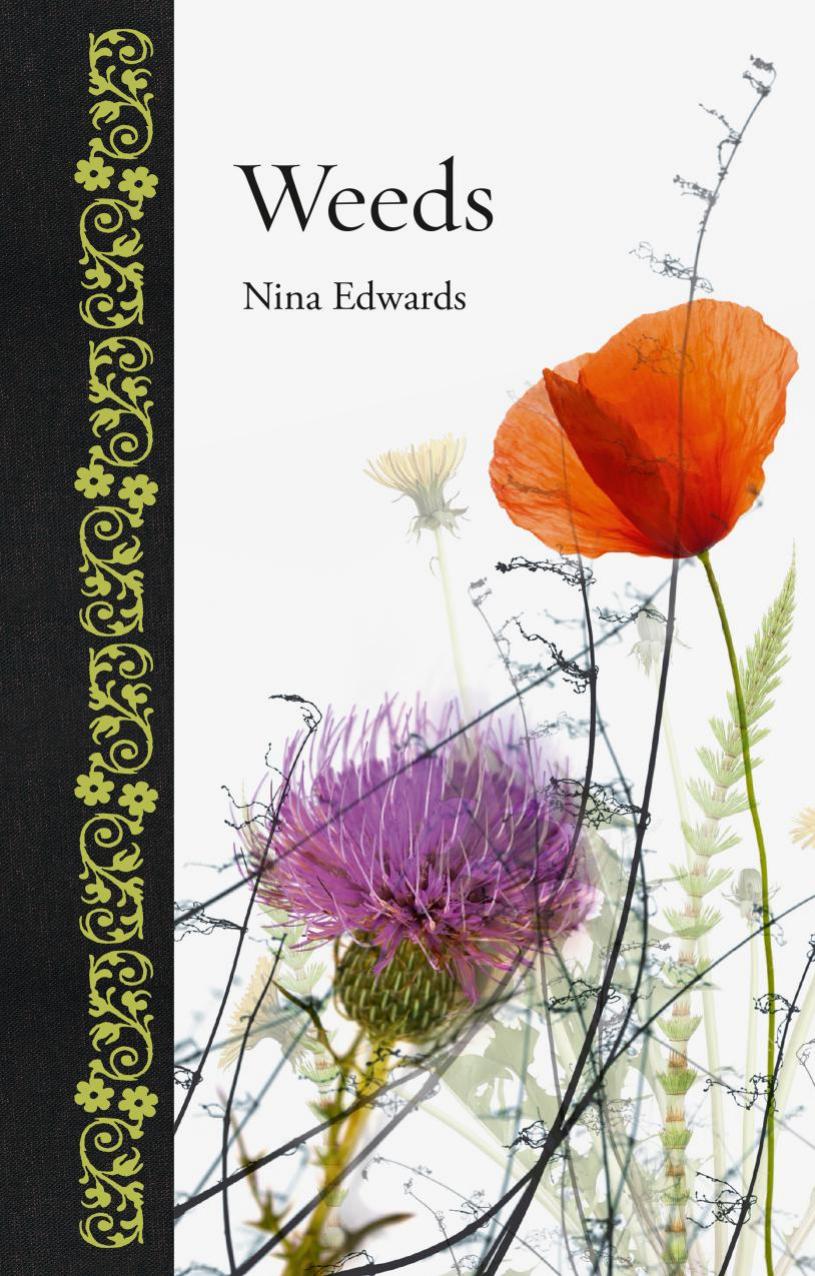 Weeds by Nina Edwards
