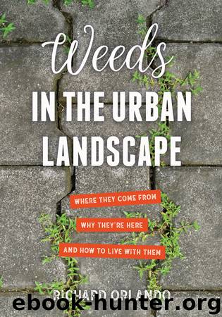 Weeds in the Urban Landscape by Richard Orlando