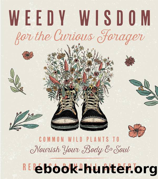 Weedy Wisdom for the Curious Forager: Common Wild Plants to Nourish Your Body & Soul by Rebecca Gilbert