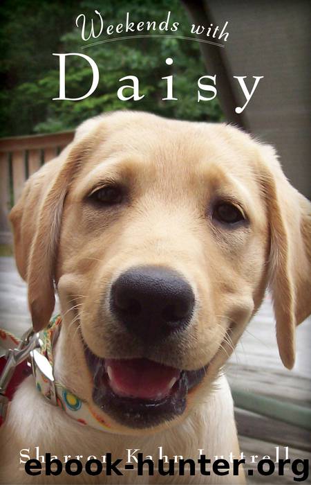 Weekends with Daisy by Sharron Kahn Luttrell