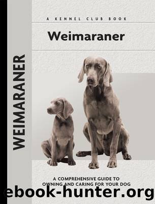 Weimaraner by Lavonia Harper